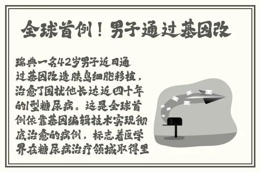 镜中人在线观看完整版免费
