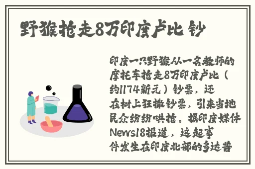菠萝蜜视频在线菠萝蜜视频观看